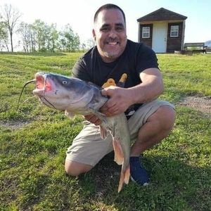 Meet your Posher, Ernest